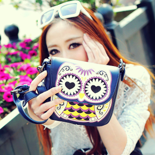 Cat bag 2013 new tide cartoon OWL print shoulder Crossbody handbag for M30-029-company